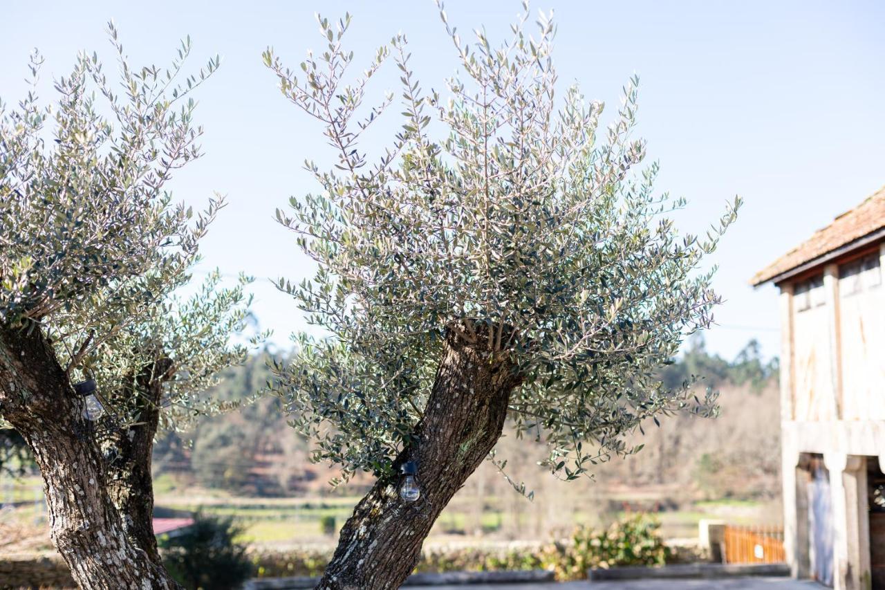 ברסלוס Rioverde Agroturismo מראה חיצוני תמונה